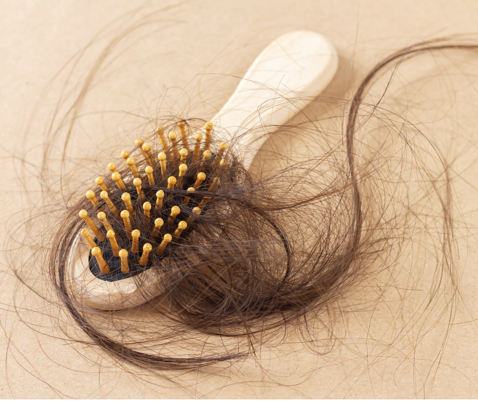 hair brush with lots of excess hair that has fallen out